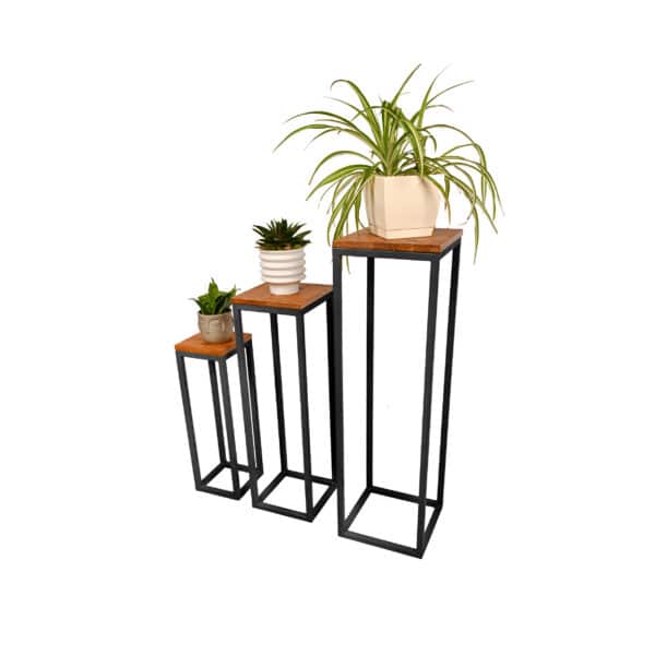 PS2_2---Plant-stands-Testis-Wood---Jet-Black---002
